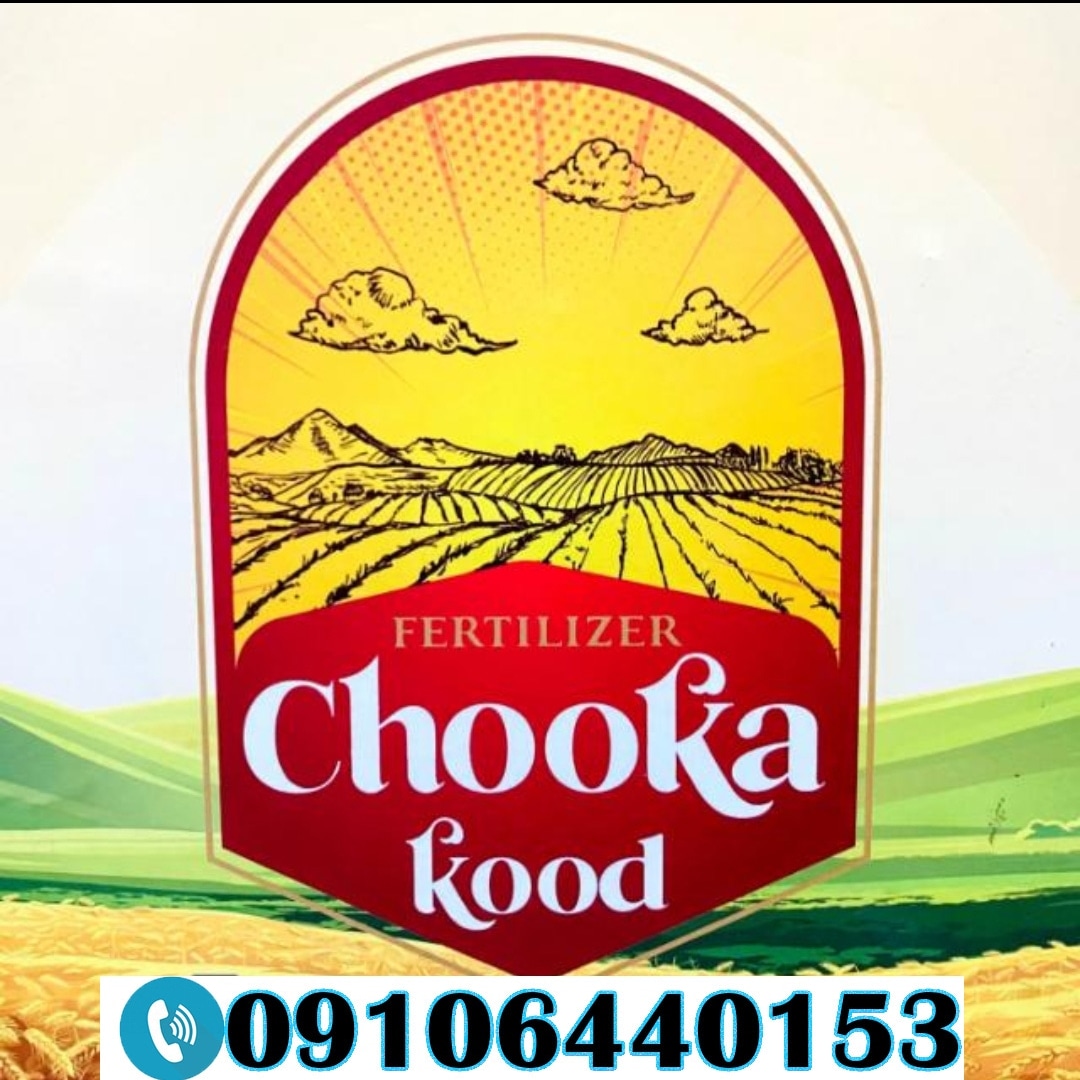 فروشگاه اینترنتی ما راه‌اندازی شد